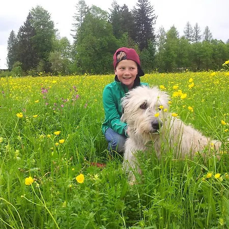 Daire Landhaus Nina Schwangau